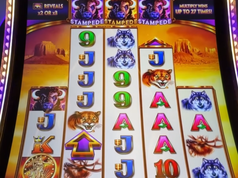 Buffalo Ascension Advantage Play Stampede Buffalo Ascension Advantage Play Stampede