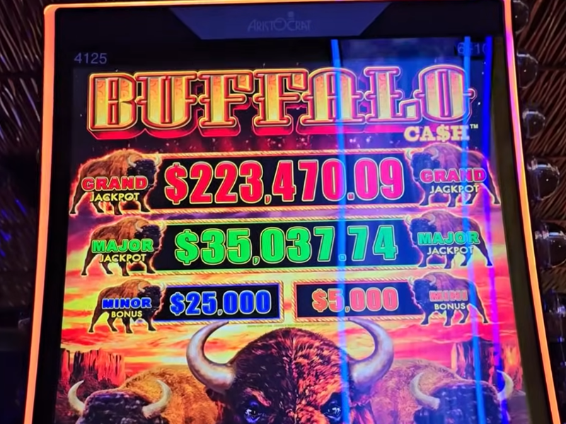 Buffalo Link Advantage Play Slot 1 Buffalo Link Advantage Play Slot 1