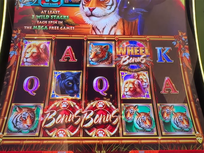 Cats Wild Serengeti Advantage Play Slot Bonus Cats Wild Serengeti Advantage Play Slot Bonus