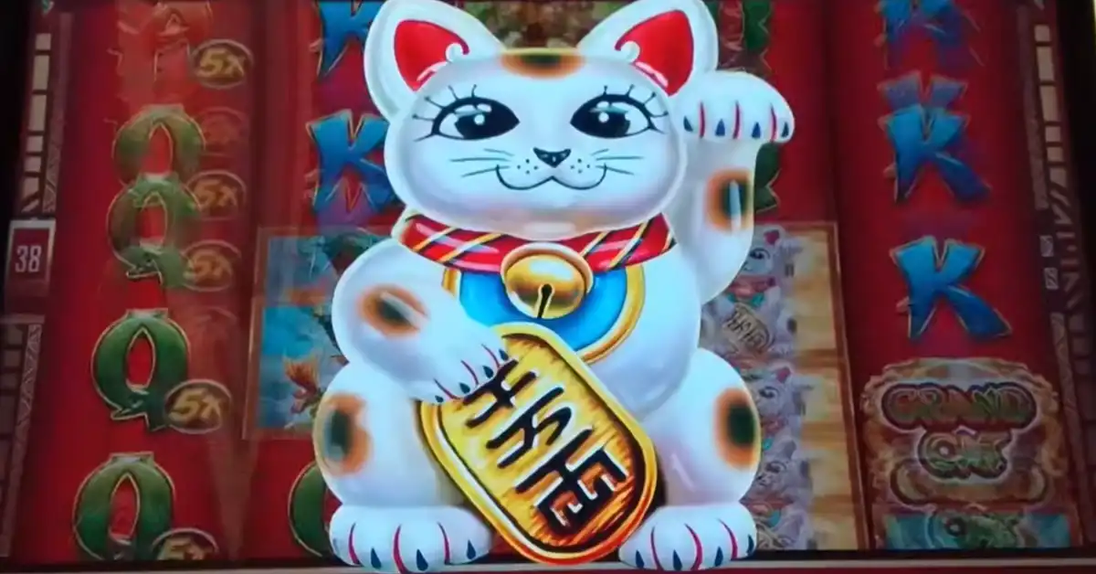 Grand Cat Link Advantage Play Slot Big Win Grand Cat Link Advantage Play Slot Big Win
